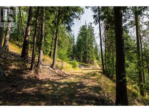 6802 Marian Lane, Nelson, BC 