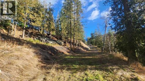 6802 Marian Lane, Nelson, BC 