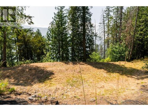6802 Marian Lane, Nelson, BC 