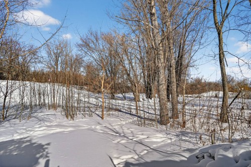 Courtyard - 189  - 191 Boul. Des Prairies, Laval (Laval-Des-Rapides), QC - Outdoor With View