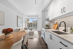 816-9 Tecumseth Street  Toronto, ON M5V 3G4