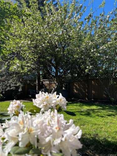 1544 Comox Ave, Comox, BC 