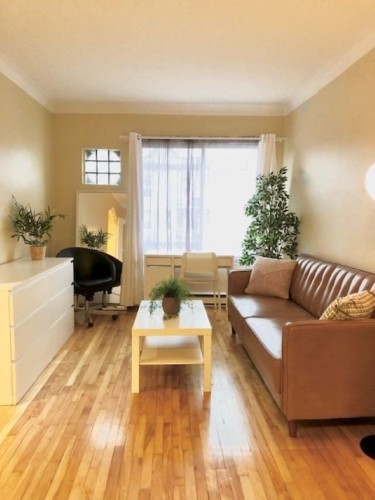 Salon - 5280 Rue St-Denis, Montréal (Le Plateau-Mont-Royal), QC - Indoor Photo Showing Living Room