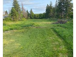 5109 RTE 225  Shamrock, PE C0A 1N0