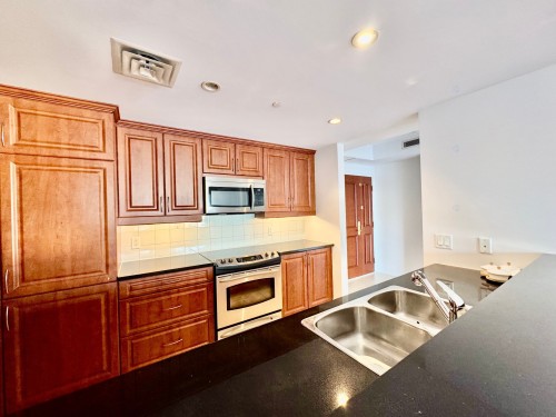 Cuisinette - 19F-1200 Boul. De Maisonneuve O., Montréal (Ville-Marie), QC - Indoor Photo Showing Kitchen With Double Sink