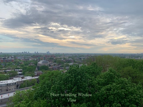 Vue - 912-2020 Boul. René-Lévesque O., Montréal (Ville-Marie), QC - Outdoor With View