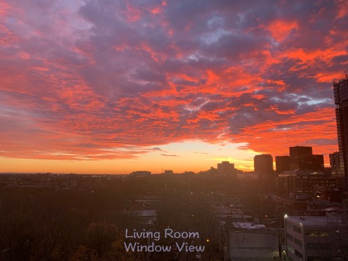 Vue - 912-2020 Boul. René-Lévesque O., Montréal (Ville-Marie), QC - Outdoor With View