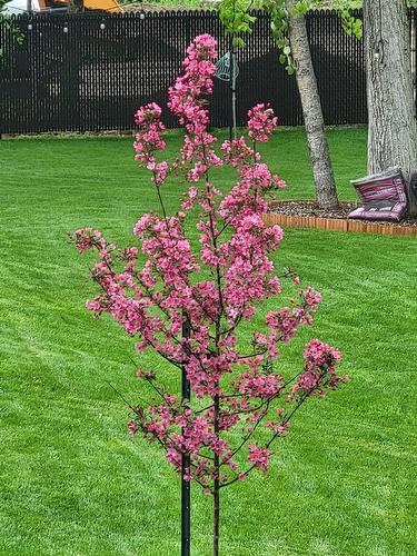 Autre - 18 Rue De Champlain, Saint-André-D'Argenteuil, QC - Outdoor