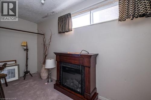 50 Macaulay Street W, Hamilton, ON - Indoor With Fireplace