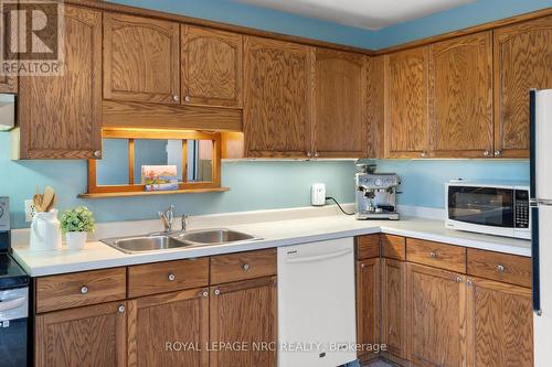 163 Pine Street S, Thorold (Thorold Downtown), ON - Indoor Photo Showing Kitchen With Double Sink