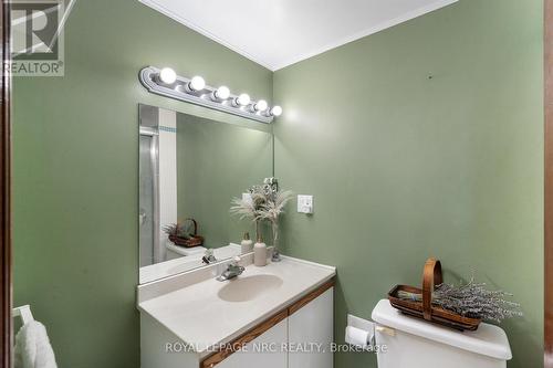 163 Pine Street S, Thorold (Thorold Downtown), ON - Indoor Photo Showing Bathroom