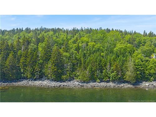 Lot Berry Point Rd, Bocabec, NB 