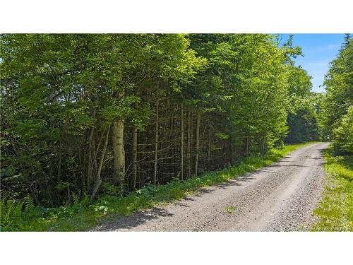 Lot Berry Point Rd, Bocabec, NB 