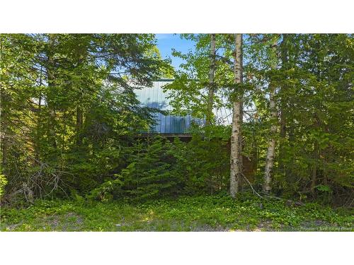 Lot Berry Point Rd, Bocabec, NB 