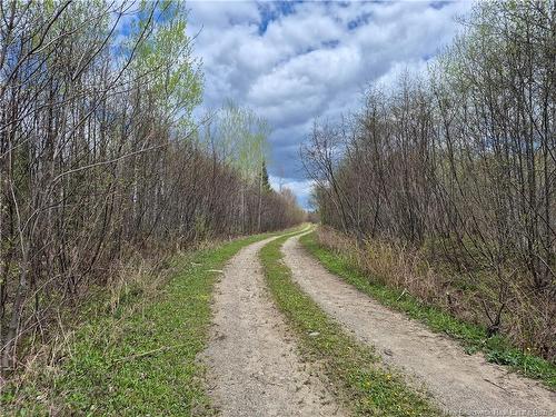 000 Kingsley Rd, Estey'S Bridge, NB 