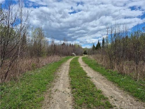 000 Kingsley Rd, Estey'S Bridge, NB 