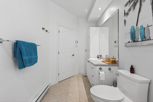 Salle de bains - 107 Rue Thibert, Saint-Constant, QC - Indoor Photo Showing Bathroom