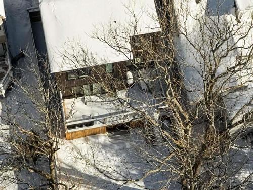 1162 Waterloo Street, Halifax, NS 