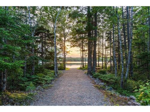 21 Phoenix Lane, Vaughan, NS 