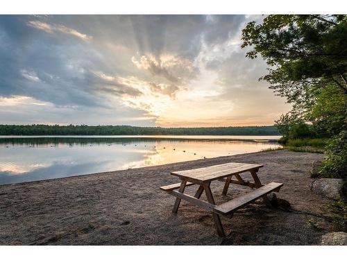 21 Phoenix Lane, Vaughan, NS 