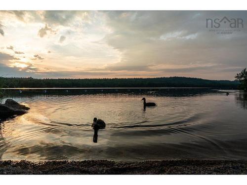 21 Phoenix Lane, Vaughan, NS 