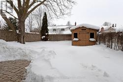 Fenced Yard with Shed - 