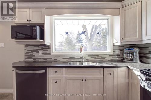 8 Jeanette Street, Hamilton, ON - Indoor Photo Showing Kitchen With Double Sink