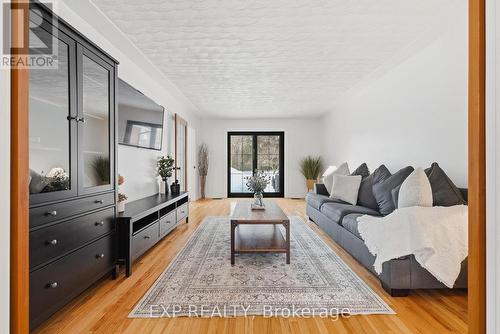 523 Forest Hill Drive, Kitchener, ON - Indoor Photo Showing Living Room