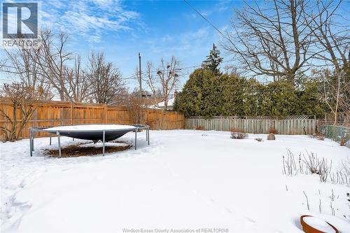 238 St. Louis, Windsor, ON - Outdoor With Backyard