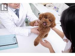 1118980 CONFIDENCIAL  Richmond, BC V0V 0V0