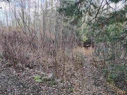 1290 Piccard Avenue  Thunder Bay, ON P7L 0H0