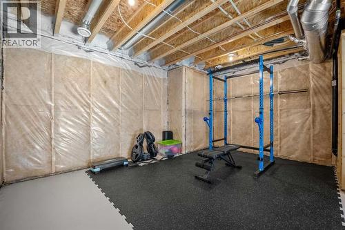 161 Lavender Manor Se, Calgary, AB - Indoor Photo Showing Basement