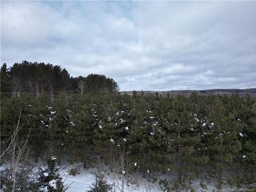 --- Route 385, Maple View, NB 