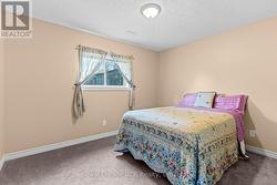 4th bedroom on the lower level - 