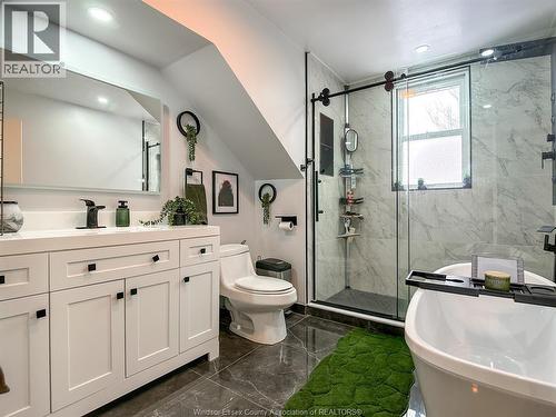1317 Windermere, Windsor, ON - Indoor Photo Showing Bathroom