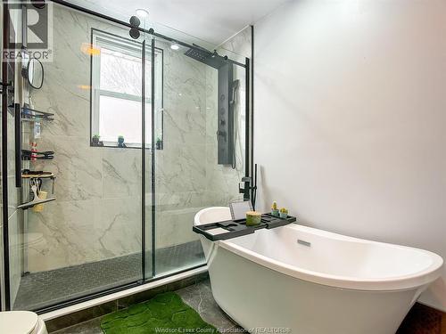1317 Windermere, Windsor, ON - Indoor Photo Showing Bathroom