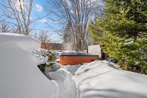 Hot tub - 760 Ch. Du Lac-Bouchette, Sainte-Adèle, QC - Outdoor