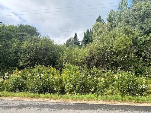 Rue - Ch. Maskinongé, Boileau, QC 