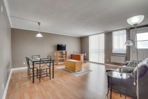 Vue d'ensemble - 1406-295 Boul. St-Joseph, Gatineau (Hull), QC - Indoor Photo Showing Living Room
