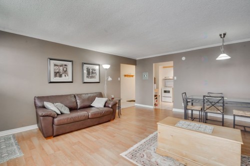 Salon - 1406-295 Boul. St-Joseph, Gatineau (Hull), QC - Indoor Photo Showing Living Room