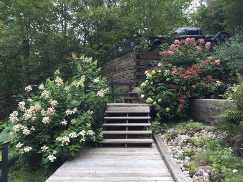 Extérieur - 291 Ch. De La Corniche, Piedmont, QC - Outdoor