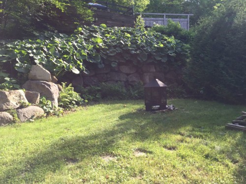 Cour - 291 Ch. De La Corniche, Piedmont, QC - Outdoor