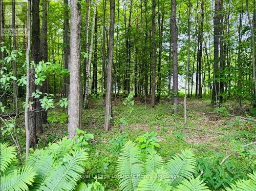 80 Concession 8 Road E, Tiny, ON - Outdoor