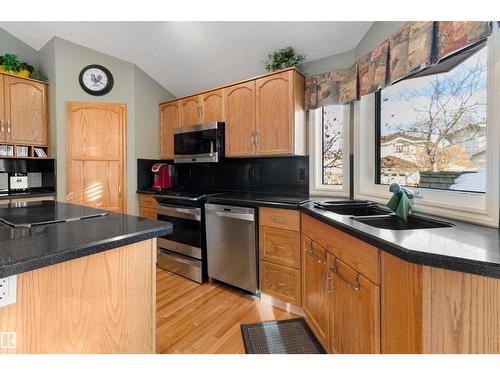519 Buchanan Rd Nw, Edmonton, AB - Indoor Photo Showing Kitchen With Double Sink
