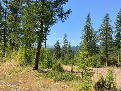 127 Ponderosa Point, Kimberley, BC - Outdoor With View