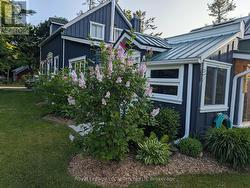 One of many flowering liliac trees - 