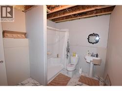 lower level bathroom - 