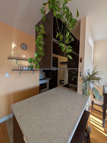 Kitchen - 302-5701 Rue De Normanville, Montréal (Rosemont/La Petite-Patrie), QC - Indoor Photo Showing Other Room