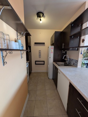 Kitchen - 302-5701 Rue De Normanville, Montréal (Rosemont/La Petite-Patrie), QC - Indoor Photo Showing Kitchen