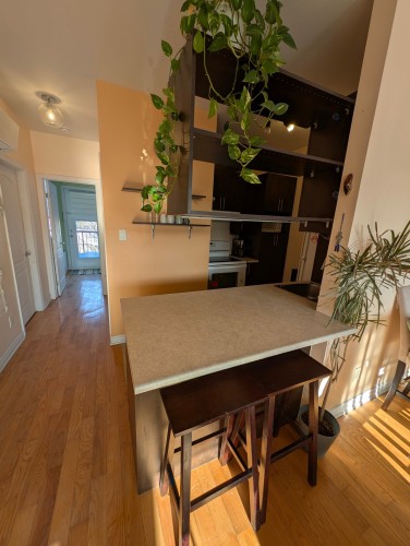 Overall view - 302-5701 Rue De Normanville, Montréal (Rosemont/La Petite-Patrie), QC - Indoor